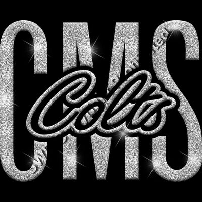 GLT95 SILVER GLITTER Thumbnail