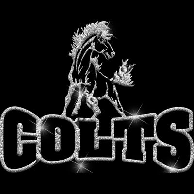 GLT32 SILVER GLITTER Thumbnail