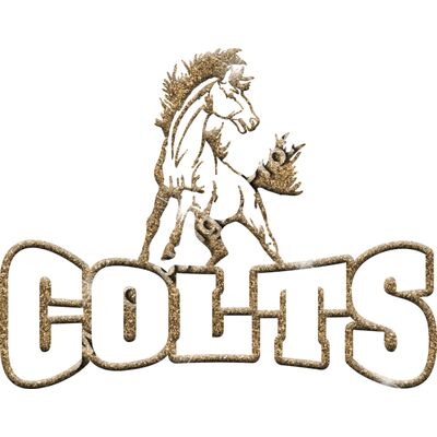 GLT32 GOLD GLITTER Thumbnail